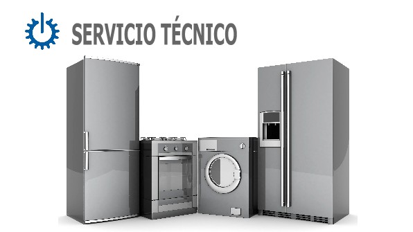 tecnico Aspes Ibiza